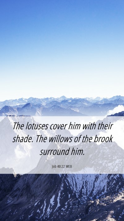 Picture 06 - Job 40:22 WEB Mobile Phone Wallpaper - The lotuses cover him with their shade. The - Mobile Bible Verse Wallpaper