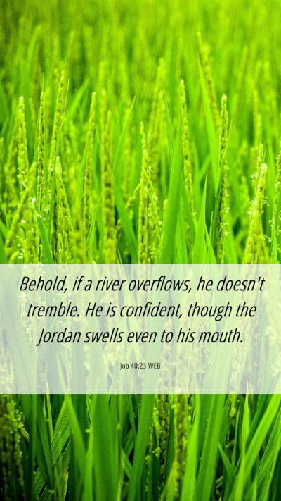 Picture 06 - Job 40:23 WEB Mobile Phone Wallpaper - Behold, if a river overflows, he doesn't tremble. - Mobile Bible Verse Wallpaper