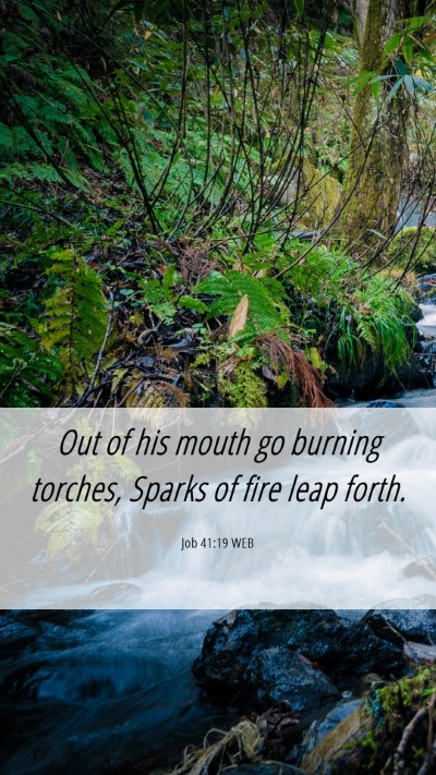 Picture 06 - Job 41:19 WEB Mobile Phone Wallpaper - Out of his mouth go burning torches, Sparks of - Mobile Bible Verse Wallpaper