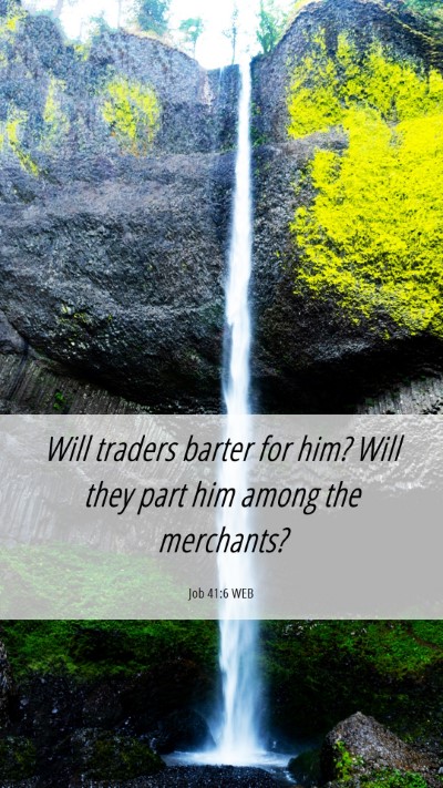 Picture 06 - Job 41:6 WEB Mobile Phone Wallpaper - Will traders barter for him? Will they part him - Mobile Bible Verse Wallpaper