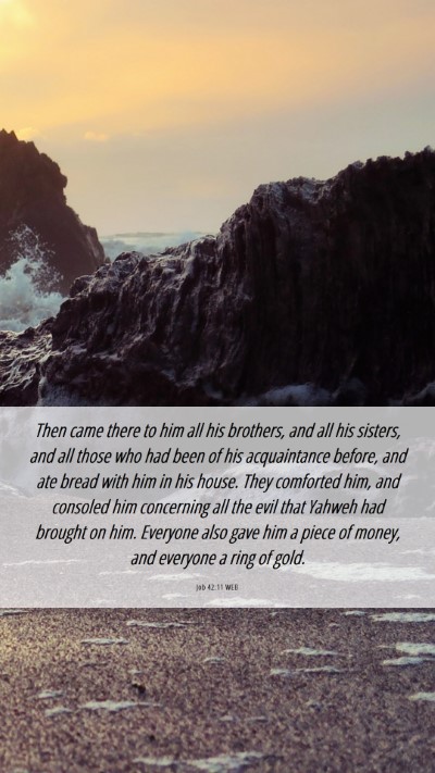 Picture 06 - Job 42:11 WEB Mobile Phone Wallpaper - Then came there to him all his brothers, and all - Mobile Bible Verse Wallpaper