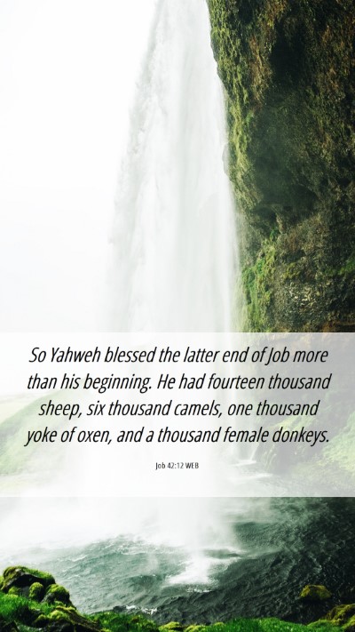 Picture 06 - Job 42:12 WEB Mobile Phone Wallpaper - So Yahweh blessed the latter end of Job more than - Mobile Bible Verse Wallpaper
