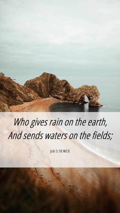 Picture 06 - Job 5:10 WEB Mobile Phone Wallpaper - Who gives rain on the earth, And sends waters on - Mobile Bible Verse Wallpaper