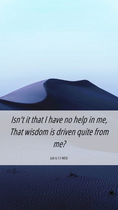 Picture 06 - Job 6:13 WEB Mobile Phone Wallpaper - Isn't it that I have no help in me, That wisdom - Mobile Bible Verse Wallpaper