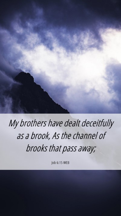 Picture 06 - Job 6:15 WEB Mobile Phone Wallpaper - My brothers have dealt deceitfully as a brook, As - Mobile Bible Verse Wallpaper