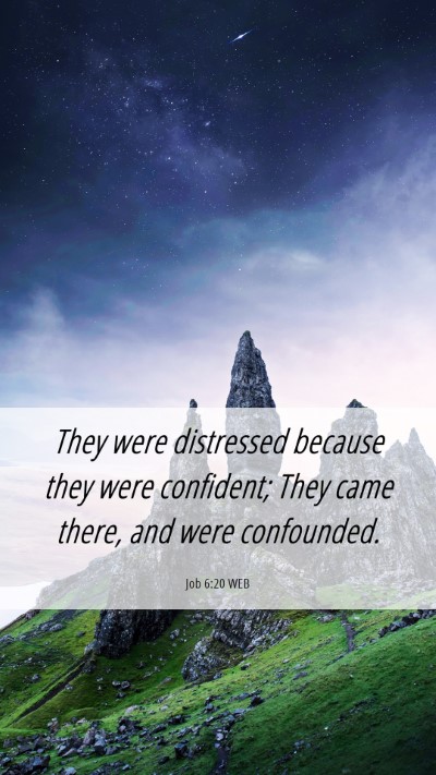 Picture 06 - Job 6:20 WEB Mobile Phone Wallpaper - They were distressed because they were confident; - Mobile Bible Verse Wallpaper