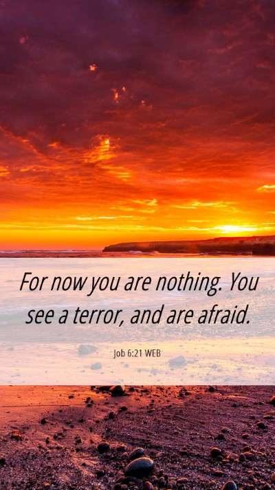 Picture 06 - Job 6:21 WEB Mobile Phone Wallpaper - For now you are nothing. You see a terror, and - Mobile Bible Verse Wallpaper