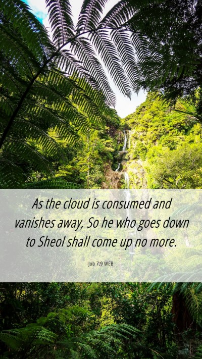 Picture 06 - Job 7:9 WEB Mobile Phone Wallpaper - As the cloud is consumed and vanishes away, So he - Mobile Bible Verse Wallpaper