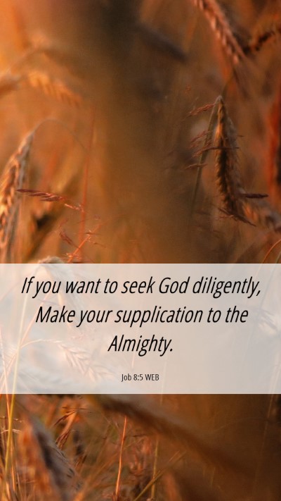 Picture 06 - Job 8:5 WEB Mobile Phone Wallpaper - If you want to seek God diligently, Make your - Mobile Bible Verse Wallpaper