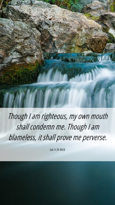 Picture 06 - Job 9:20 WEB Mobile Phone Wallpaper - Though I am righteous, my own mouth shall condemn - Mobile Bible Verse Wallpaper