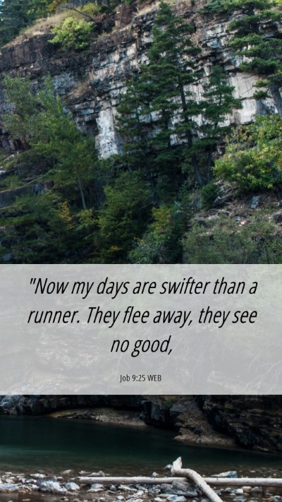 Picture 06 - Job 9:25 WEB Mobile Phone Wallpaper - 