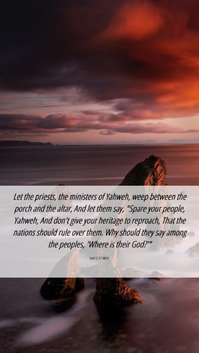 Picture 06 - Joel 2:17 WEB Mobile Phone Wallpaper - Let the priests, the ministers of Yahweh, weep - Mobile Bible Verse Wallpaper