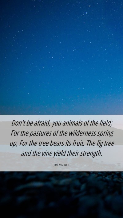 Picture 06 - Joel 2:22 WEB Mobile Phone Wallpaper - Don't be afraid, you animals of the field; For - Mobile Bible Verse Wallpaper
