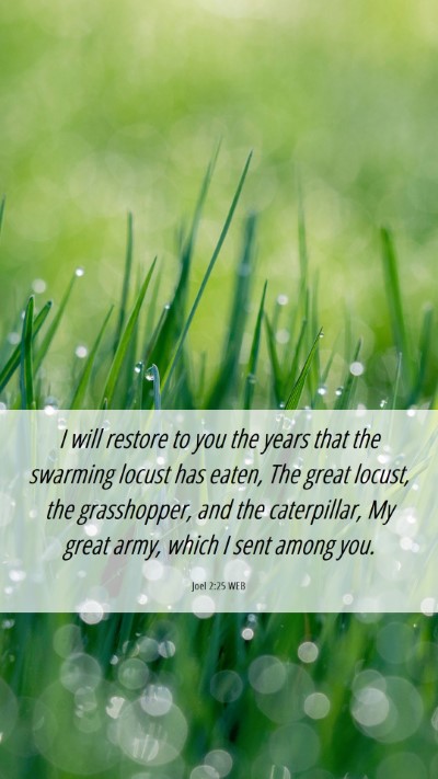 Picture 06 - Joel 2:25 WEB Mobile Phone Wallpaper - I will restore to you the years that the swarming - Mobile Bible Verse Wallpaper
