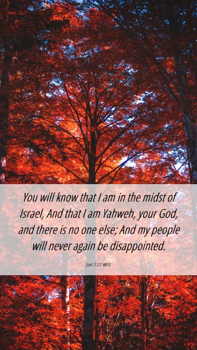 Picture 06 - Joel 2:27 WEB Mobile Phone Wallpaper - You will know that I am in the midst of Israel, - Mobile Bible Verse Wallpaper