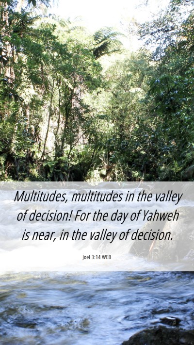Picture 06 - Joel 3:14 WEB Mobile Phone Wallpaper - Multitudes, multitudes in the valley of decision! - Mobile Bible Verse Wallpaper