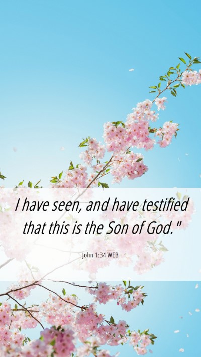 Picture 06 - John 1:34 WEB Mobile Phone Wallpaper - I have seen, and have testified that this is the - Mobile Bible Verse Wallpaper