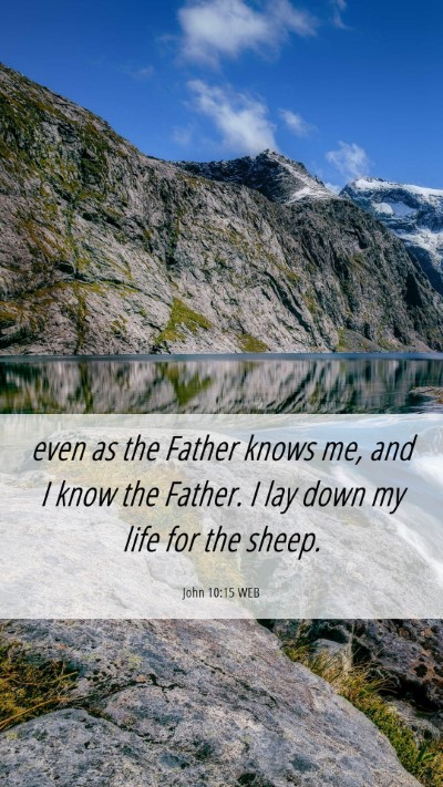Picture 06 - John 10:15 WEB Mobile Phone Wallpaper - even as the Father knows me, and I know the - Mobile Bible Verse Wallpaper