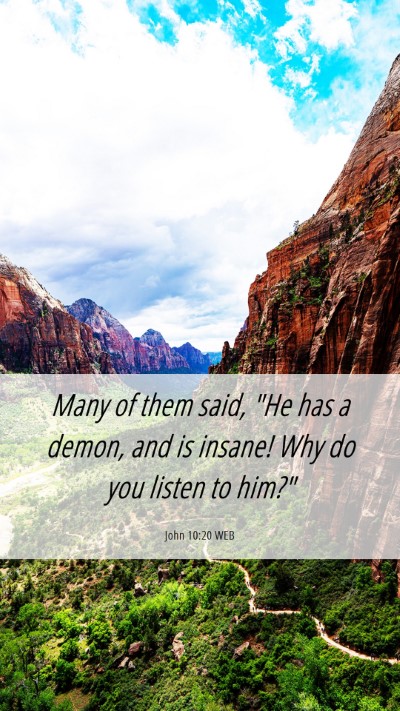 Picture 06 - John 10:20 WEB Mobile Phone Wallpaper - Many of them said, 