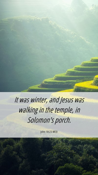 Picture 06 - John 10:23 WEB Mobile Phone Wallpaper - It was winter, and Jesus was walking in the - Mobile Bible Verse Wallpaper