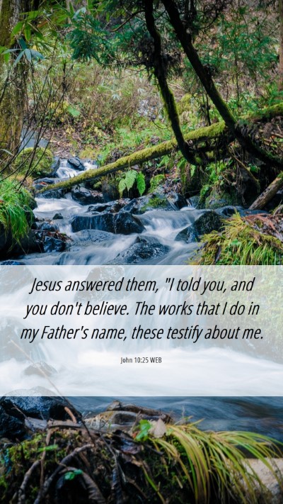 Picture 06 - John 10:25 WEB Mobile Phone Wallpaper - Jesus answered them, 