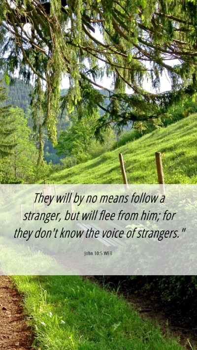 Picture 06 - John 10:5 WEB Mobile Phone Wallpaper - They will by no means follow a stranger, but will - Mobile Bible Verse Wallpaper