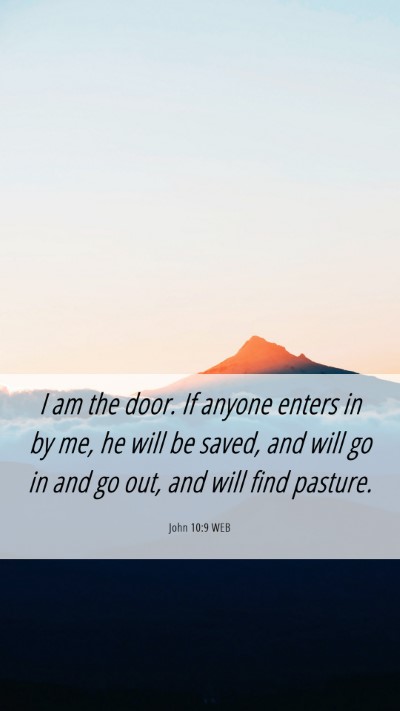 Picture 06 - John 10:9 WEB Mobile Phone Wallpaper - I am the door. If anyone enters in by me, he will - Mobile Bible Verse Wallpaper