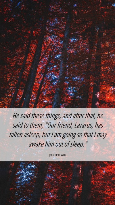 Picture 06 - John 11:11 WEB Mobile Phone Wallpaper - He said these things, and after that, he said to - Mobile Bible Verse Wallpaper