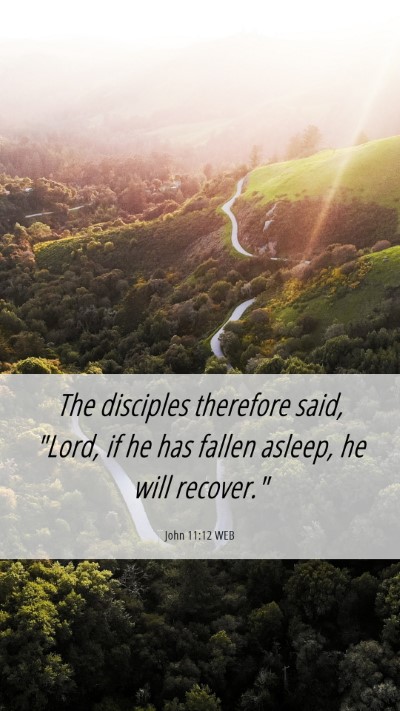 Picture 06 - John 11:12 WEB Mobile Phone Wallpaper - The disciples therefore said, 