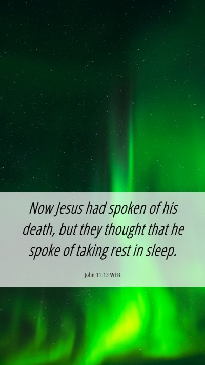 Picture 06 - John 11:13 WEB Mobile Phone Wallpaper - Now Jesus had spoken of his death, but they - Mobile Bible Verse Wallpaper