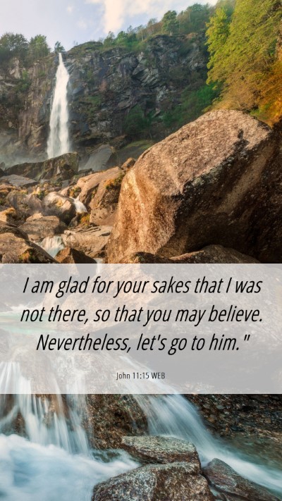 Picture 06 - John 11:15 WEB Mobile Phone Wallpaper - I am glad for your sakes that I was not there, so - Mobile Bible Verse Wallpaper