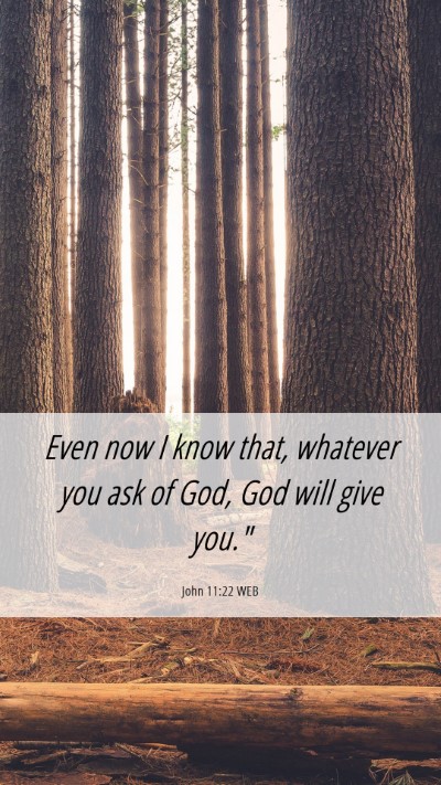 Picture 06 - John 11:22 WEB Mobile Phone Wallpaper - Even now I know that, whatever you ask of God, - Mobile Bible Verse Wallpaper