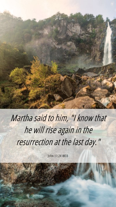 Picture 06 - John 11:24 WEB Mobile Phone Wallpaper - Martha said to him, 