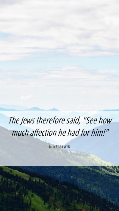 Picture 06 - John 11:36 WEB Mobile Phone Wallpaper - The Jews therefore said, 