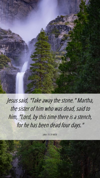 Picture 06 - John 11:39 WEB Mobile Phone Wallpaper - Jesus said, 