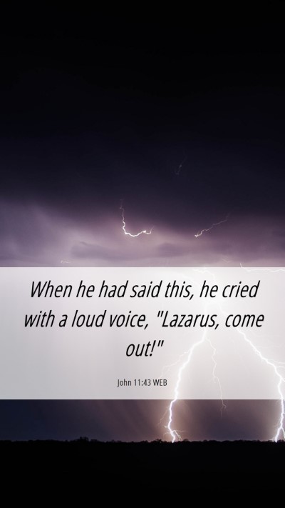 Picture 06 - John 11:43 WEB Mobile Phone Wallpaper - When he had said this, he cried with a loud - Mobile Bible Verse Wallpaper
