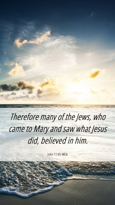 Picture 06 - John 11:45 WEB Mobile Phone Wallpaper - Therefore many of the Jews, who came to Mary and - Mobile Bible Verse Wallpaper