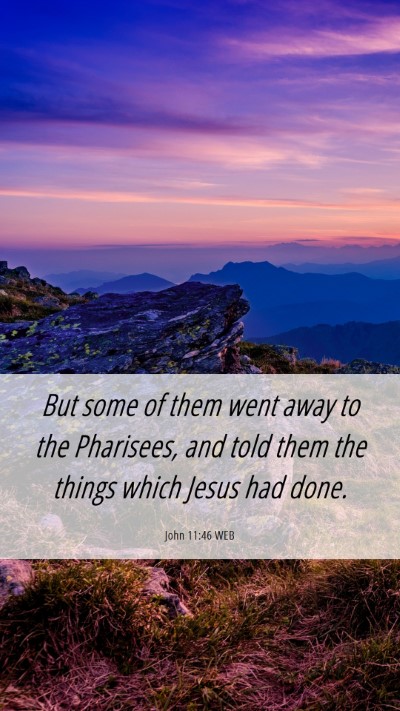 Picture 06 - John 11:46 WEB Mobile Phone Wallpaper - But some of them went away to the Pharisees, and - Mobile Bible Verse Wallpaper