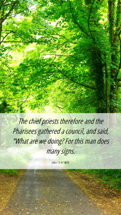 Picture 06 - John 11:47 WEB Mobile Phone Wallpaper - The chief priests therefore and the Pharisees - Mobile Bible Verse Wallpaper