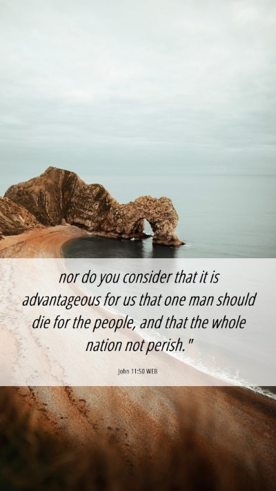 Picture 06 - John 11:50 WEB Mobile Phone Wallpaper - nor do you consider that it is advantageous for - Mobile Bible Verse Wallpaper