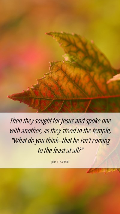 Picture 06 - John 11:56 WEB Mobile Phone Wallpaper - Then they sought for Jesus and spoke one with - Mobile Bible Verse Wallpaper