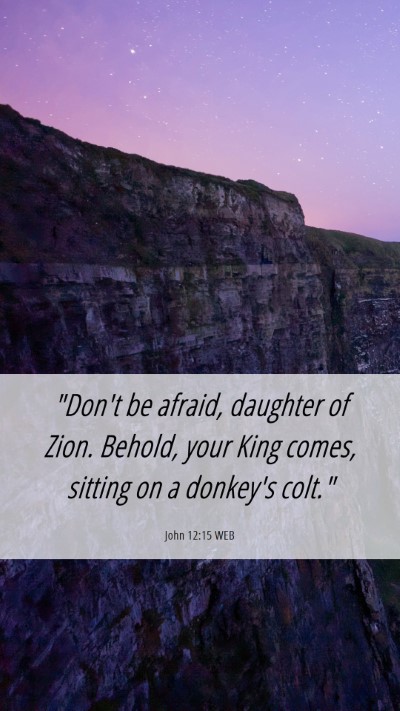 Picture 06 - John 12:15 WEB Mobile Phone Wallpaper - 