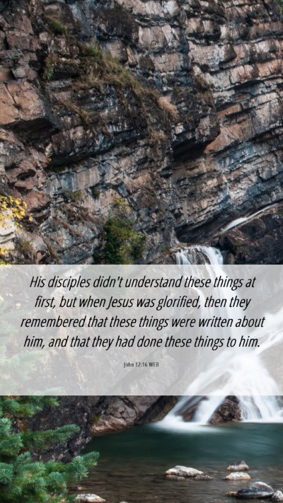 Picture 06 - John 12:16 WEB Mobile Phone Wallpaper - His disciples didn't understand these things at - Mobile Bible Verse Wallpaper