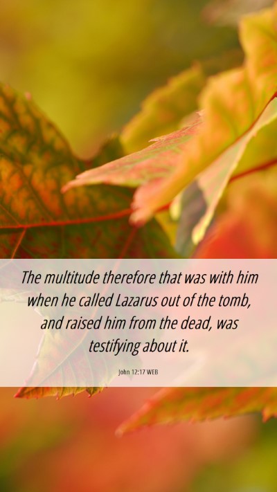 Picture 06 - John 12:17 WEB Mobile Phone Wallpaper - The multitude therefore that was with him when he - Mobile Bible Verse Wallpaper