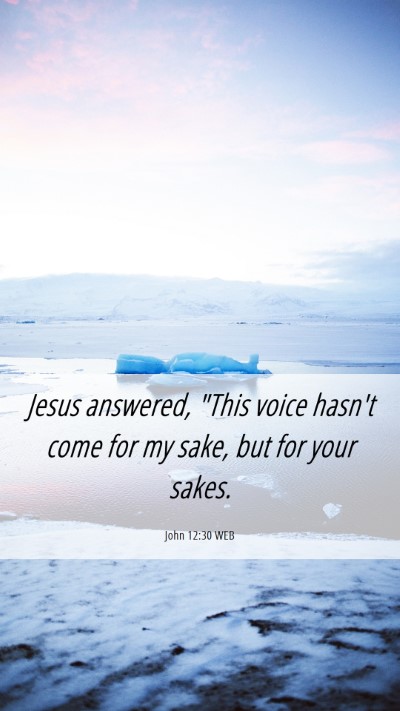 Picture 06 - John 12:30 WEB Mobile Phone Wallpaper - Jesus answered, 