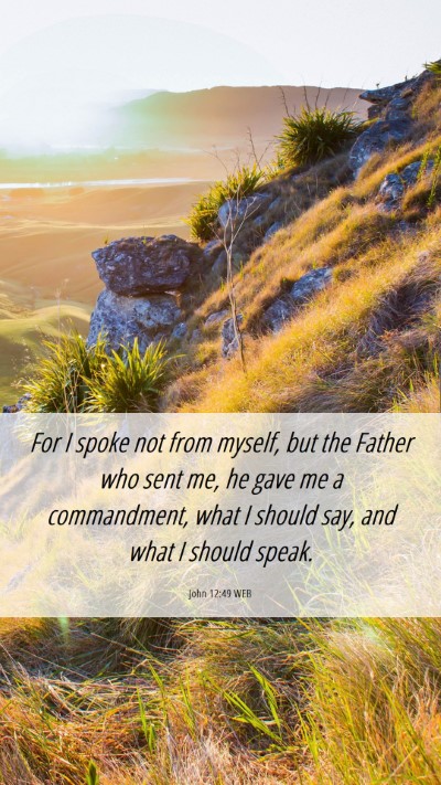 Picture 06 - John 12:49 WEB Mobile Phone Wallpaper - For I spoke not from myself, but the Father who - Mobile Bible Verse Wallpaper