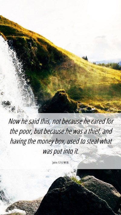 Picture 06 - John 12:6 WEB Mobile Phone Wallpaper - Now he said this, not because he cared for the - Mobile Bible Verse Wallpaper