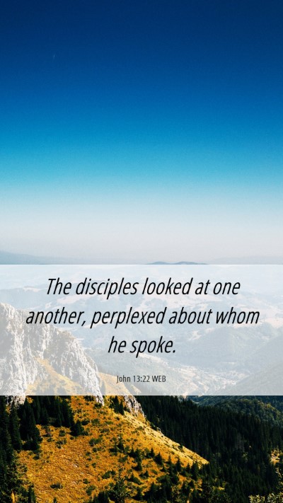 Picture 06 - John 13:22 WEB Mobile Phone Wallpaper - The disciples looked at one another, perplexed - Mobile Bible Verse Wallpaper