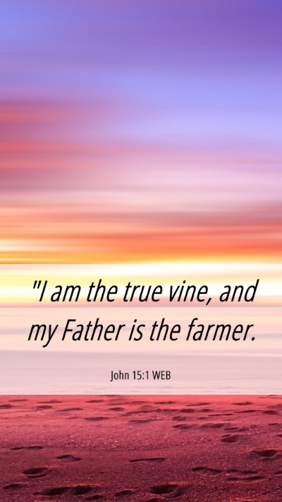 Picture 06 - John 15:1 WEB Mobile Phone Wallpaper - 
