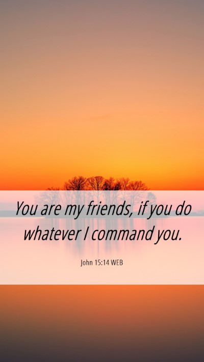 Picture 06 - John 15:14 WEB Mobile Phone Wallpaper - You are my friends, if you do whatever I command - Mobile Bible Verse Wallpaper